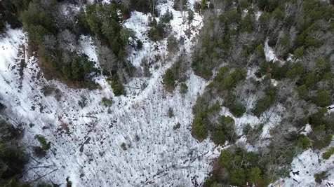 Tbd Fox Drive Gilmanton NH 03237