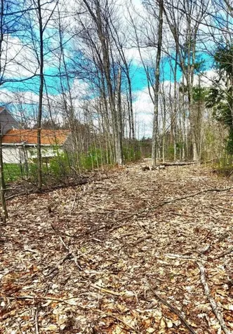 Tbd Fox Drive Gilmanton NH 03237