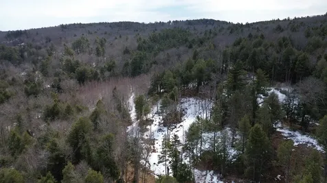 Tbd Fox Drive Gilmanton NH 03237