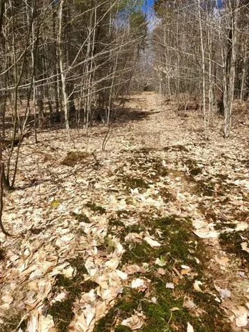 Tbd Fox Drive Gilmanton NH 03237