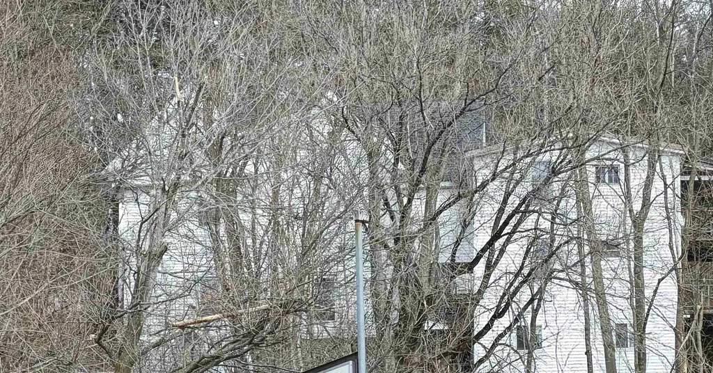 75 W Main Street Littleton NH 03561