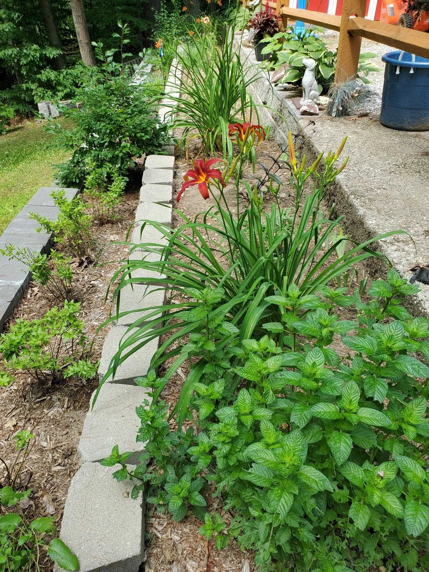 39 Longwood Drive Swanzey NH 03431-4517