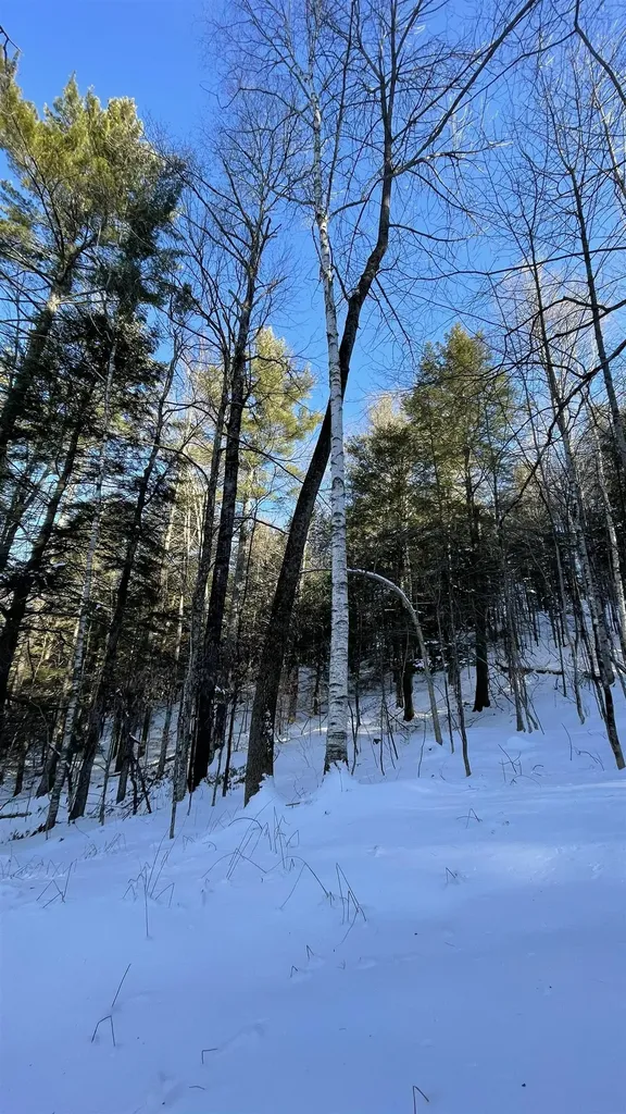 Masterson Road Barnard VT 05031