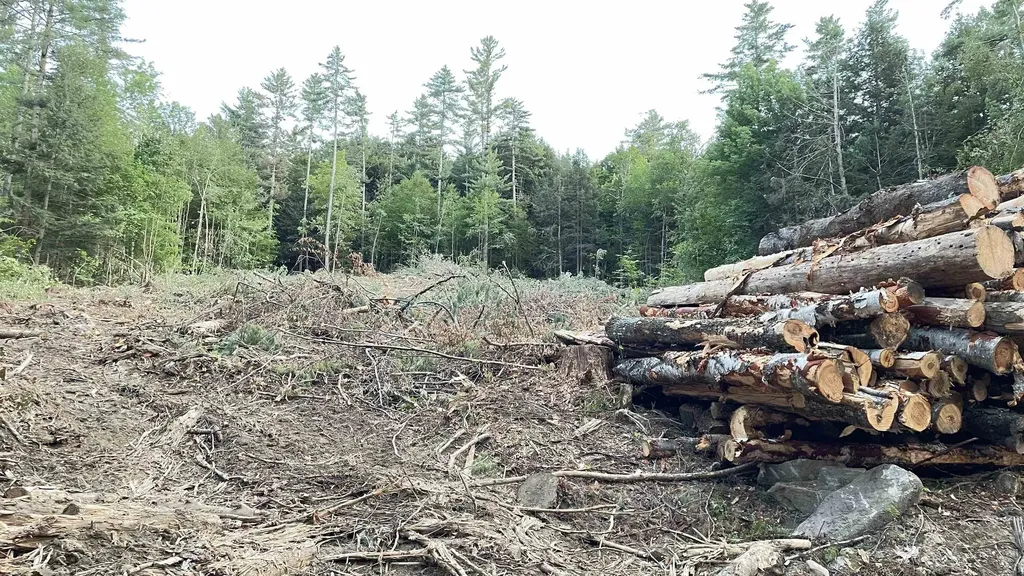 Masterson Road Barnard VT 05031