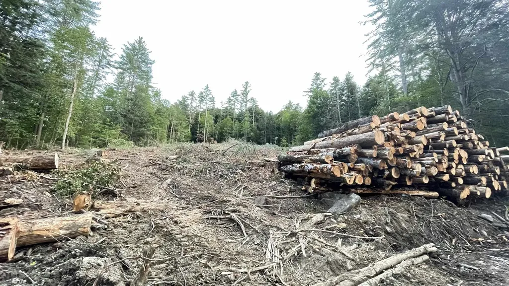 Masterson Road Barnard VT 05031