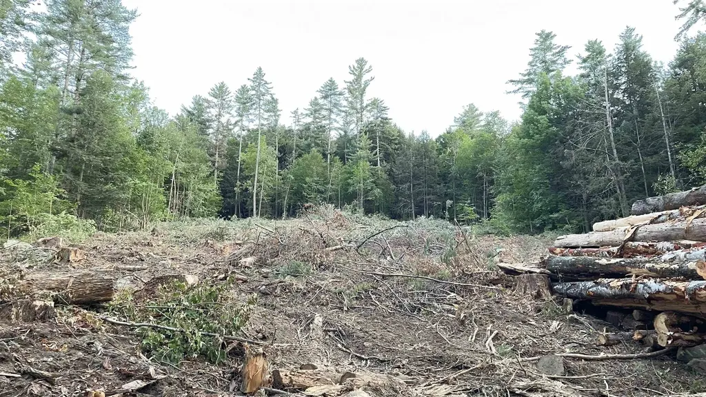 Masterson Road Barnard VT 05031