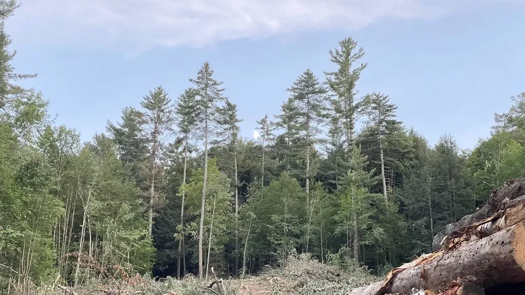 Masterson Road Barnard VT 05031