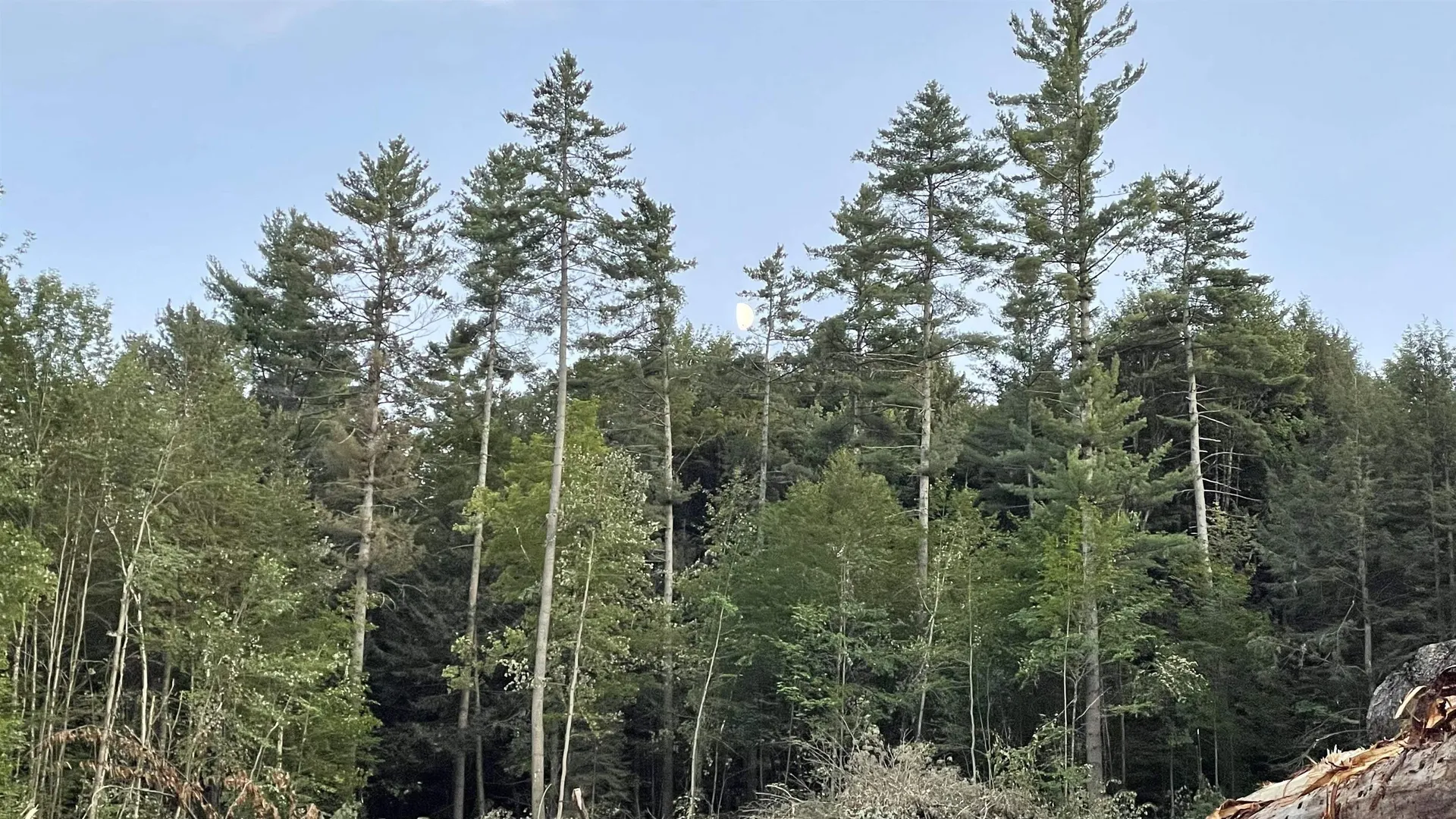 Masterson Road Barnard VT 05031