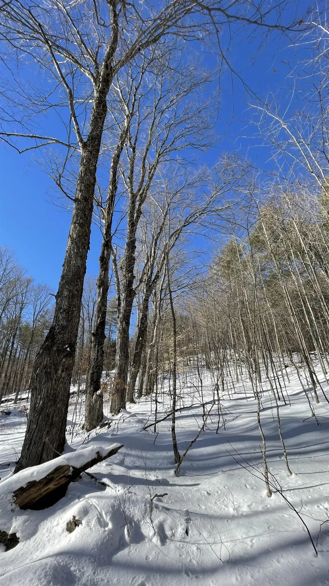 Masterson Road Barnard VT 05031
