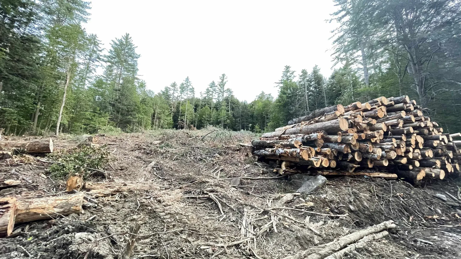 Masterson Road Barnard VT 05031