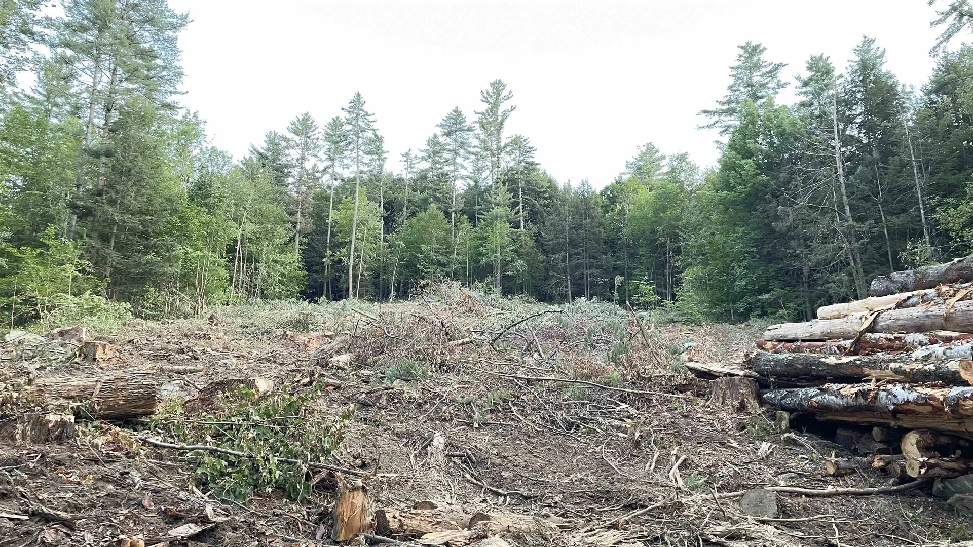 Masterson Road Barnard VT 05031