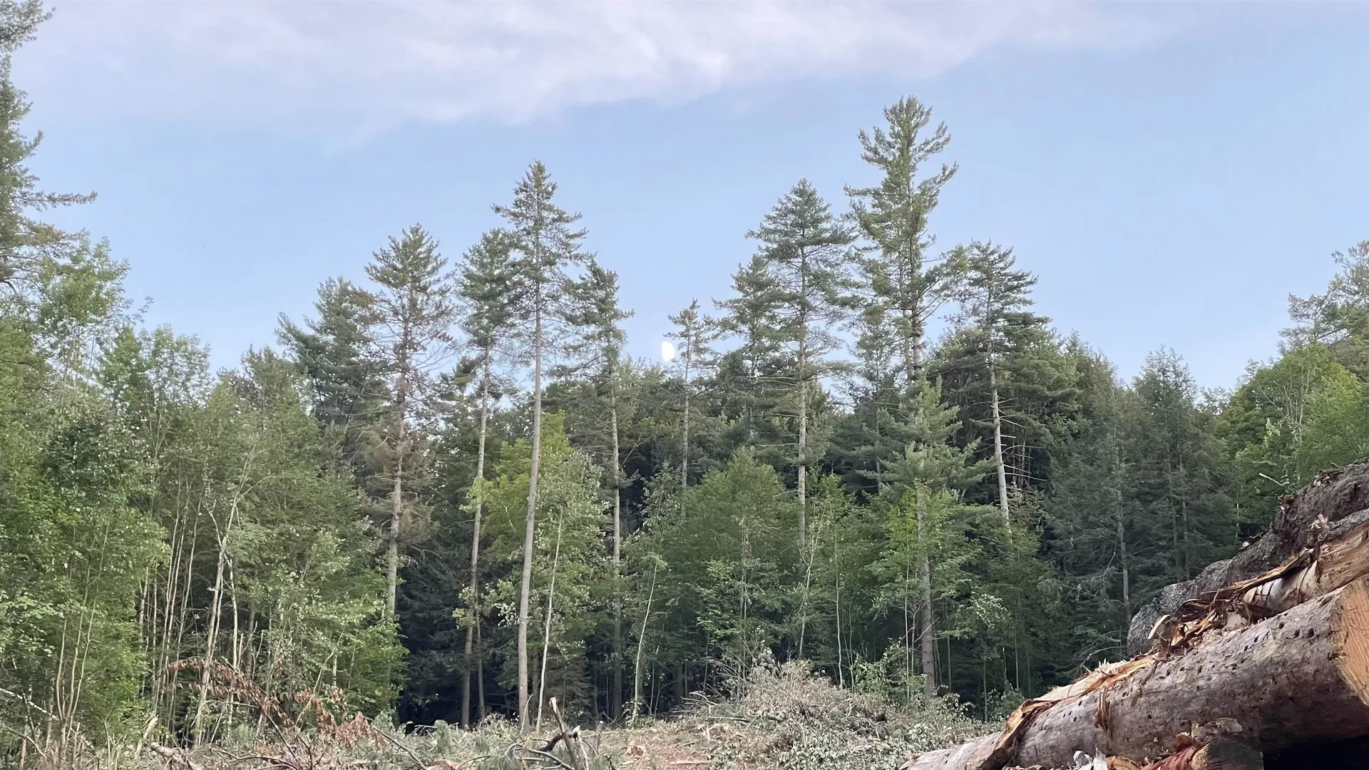 Masterson Road Barnard VT 05031