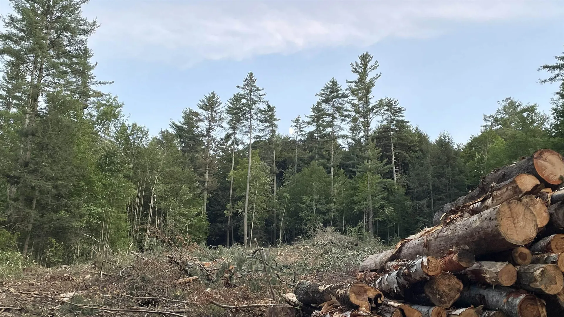 Masterson Road Barnard VT 05031