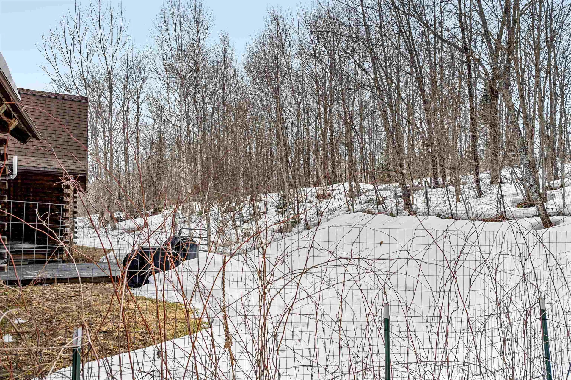 356 Hyland Hill Road Washington VT 05675