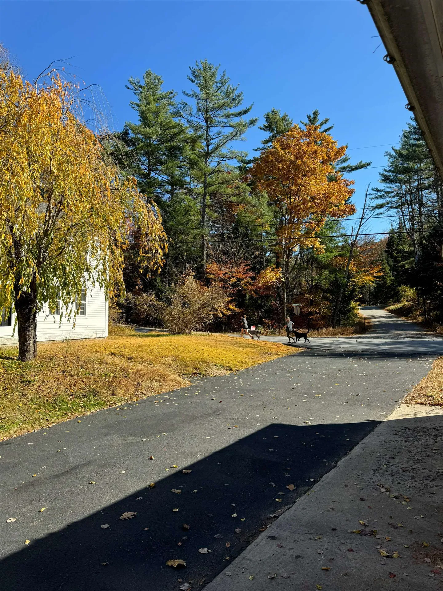 244 Page Road Bow NH 03304