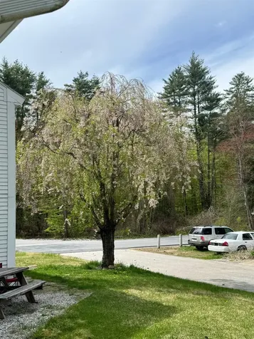 244 Page Road Bow NH 03304