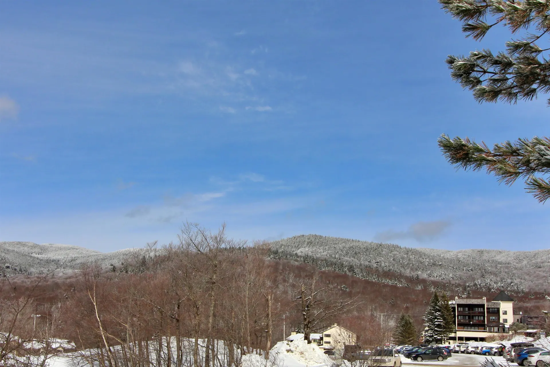 19 Village Lane Bolton VT 05477