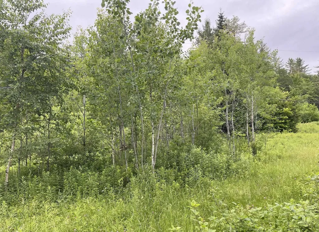 4769 Pikes Falls Road Jamaica VT 05143