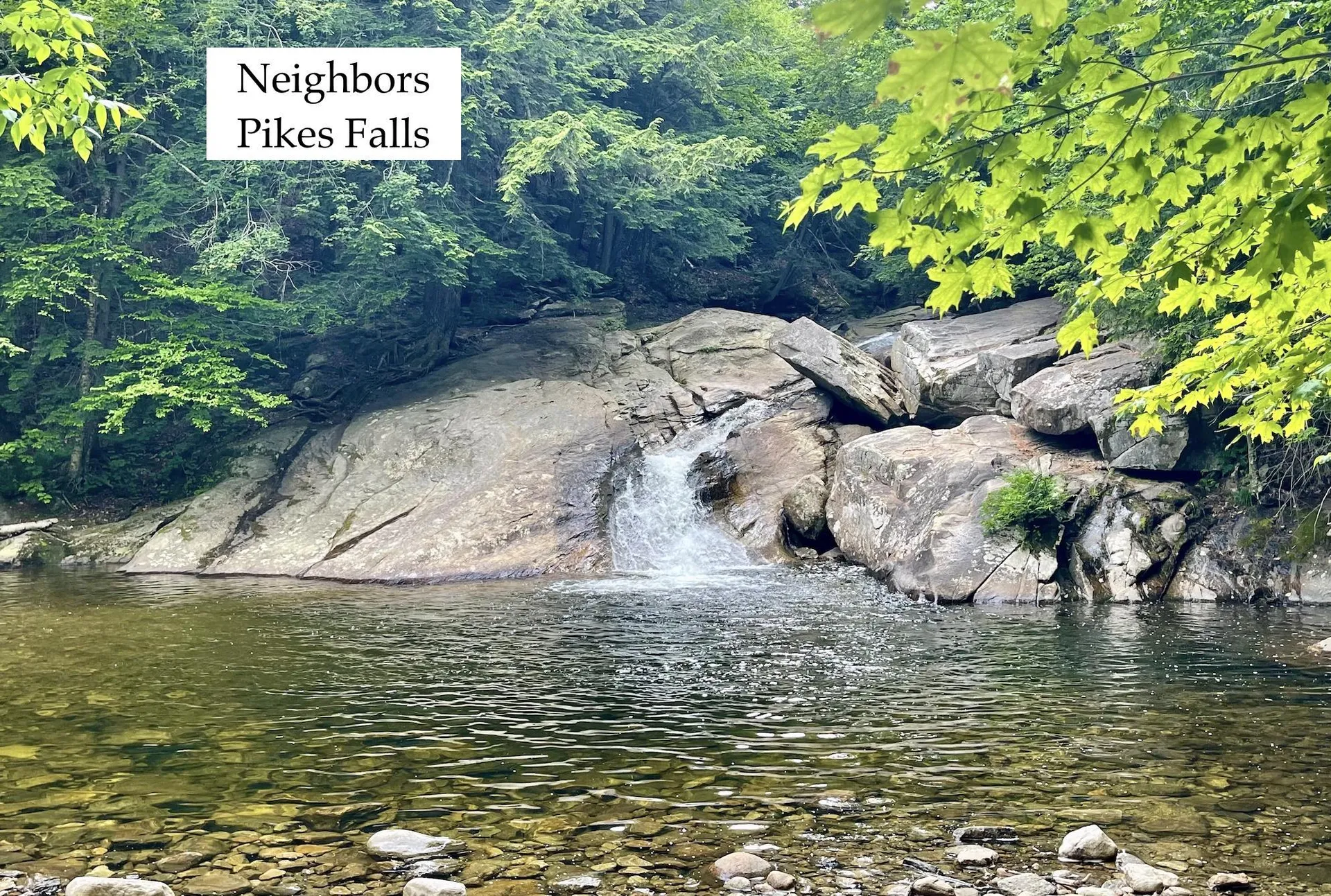 4769 Pikes Falls Road Jamaica VT 05143