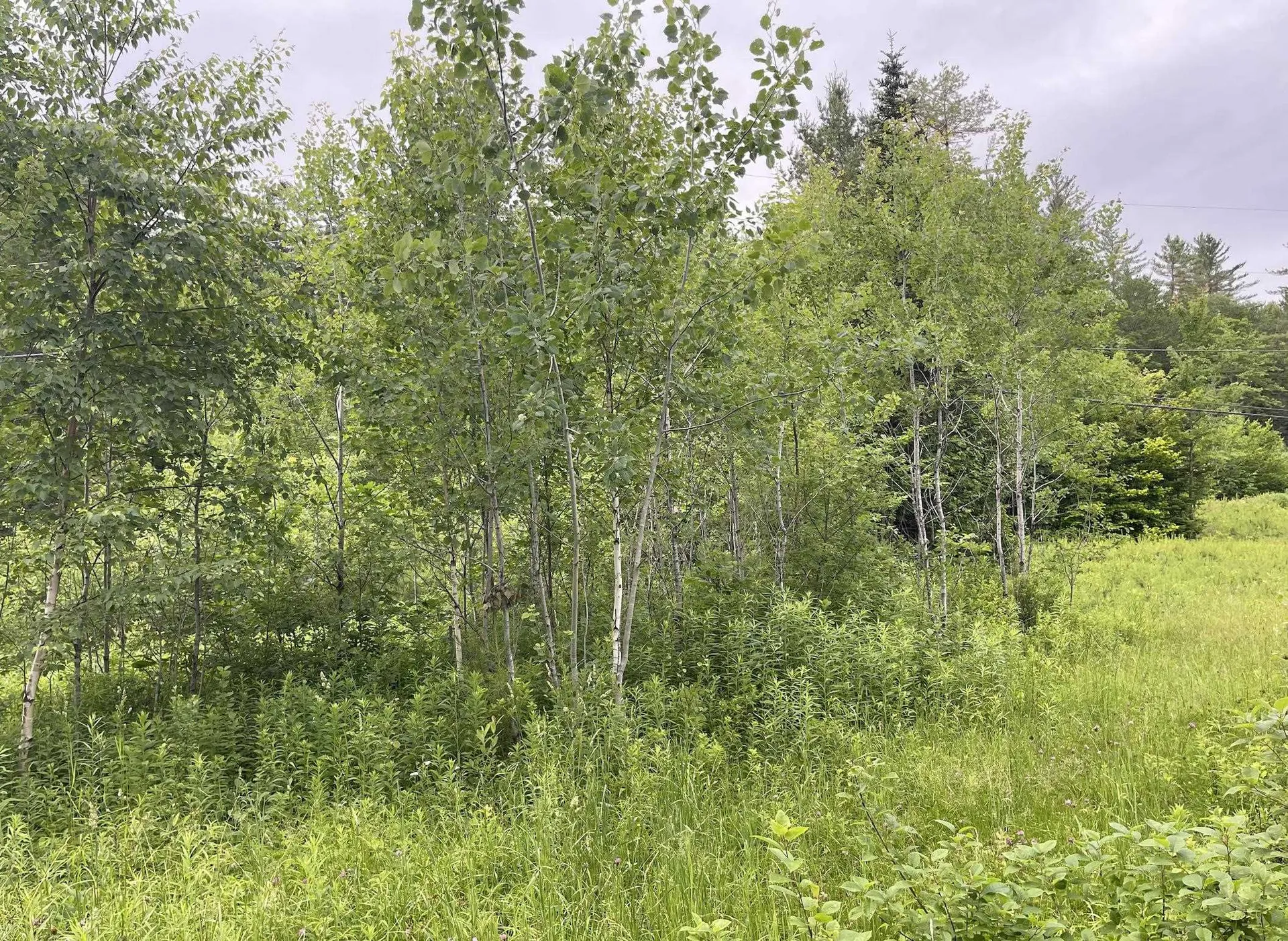 4769 Pikes Falls Road Jamaica VT 05143