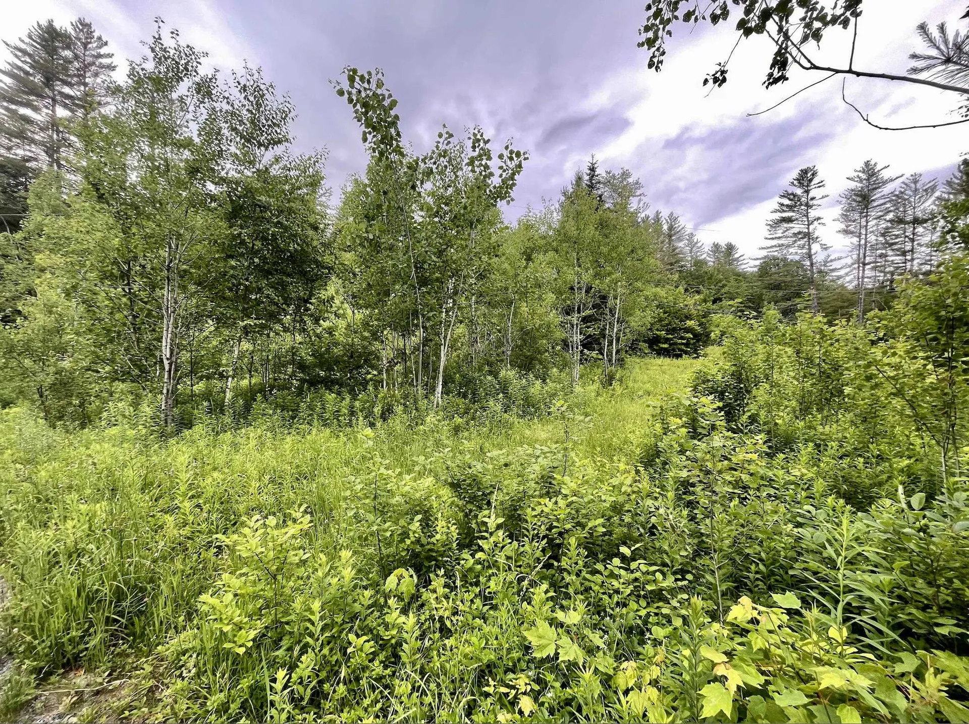 4769 Pikes Falls Road Jamaica VT 05143