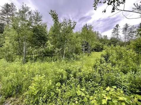 4769 Pikes Falls Road Jamaica VT 05143