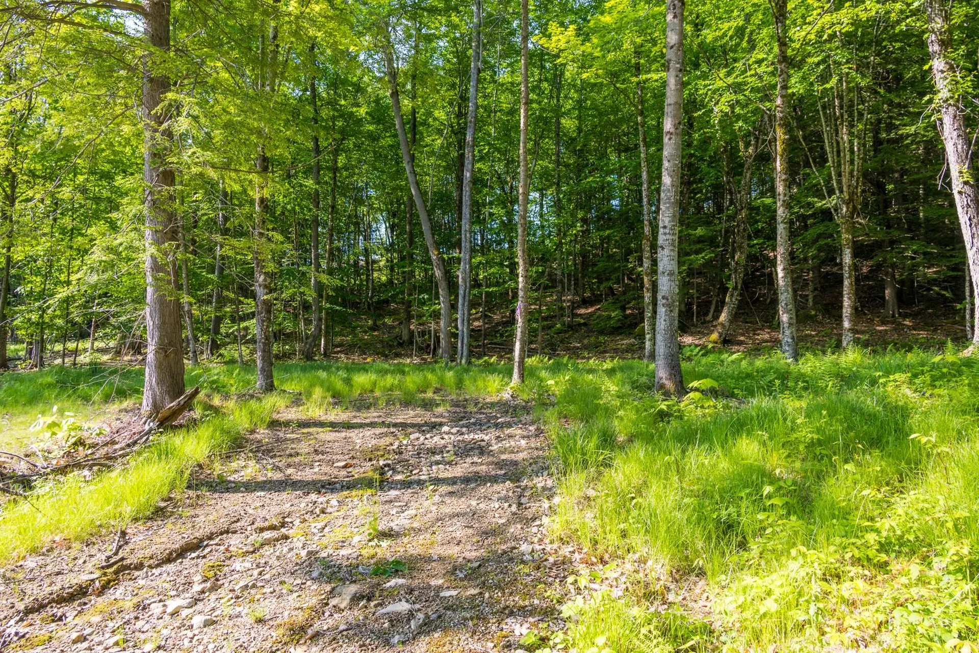 Lot 11 Greenwood Lane Sunapee NH 03782