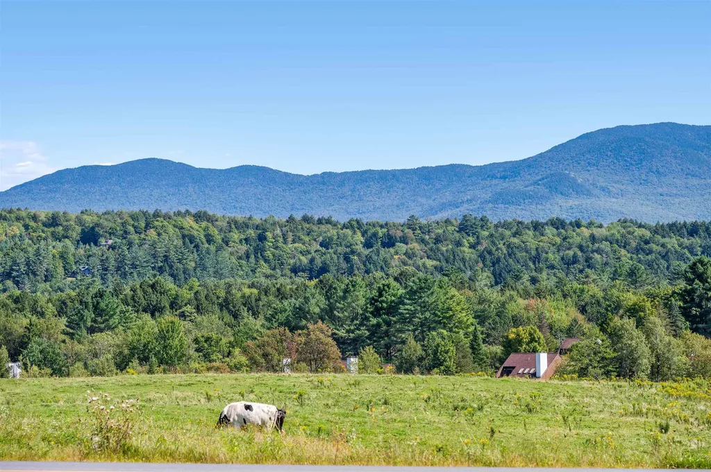 14 Barrows Road Stowe VT 05672
