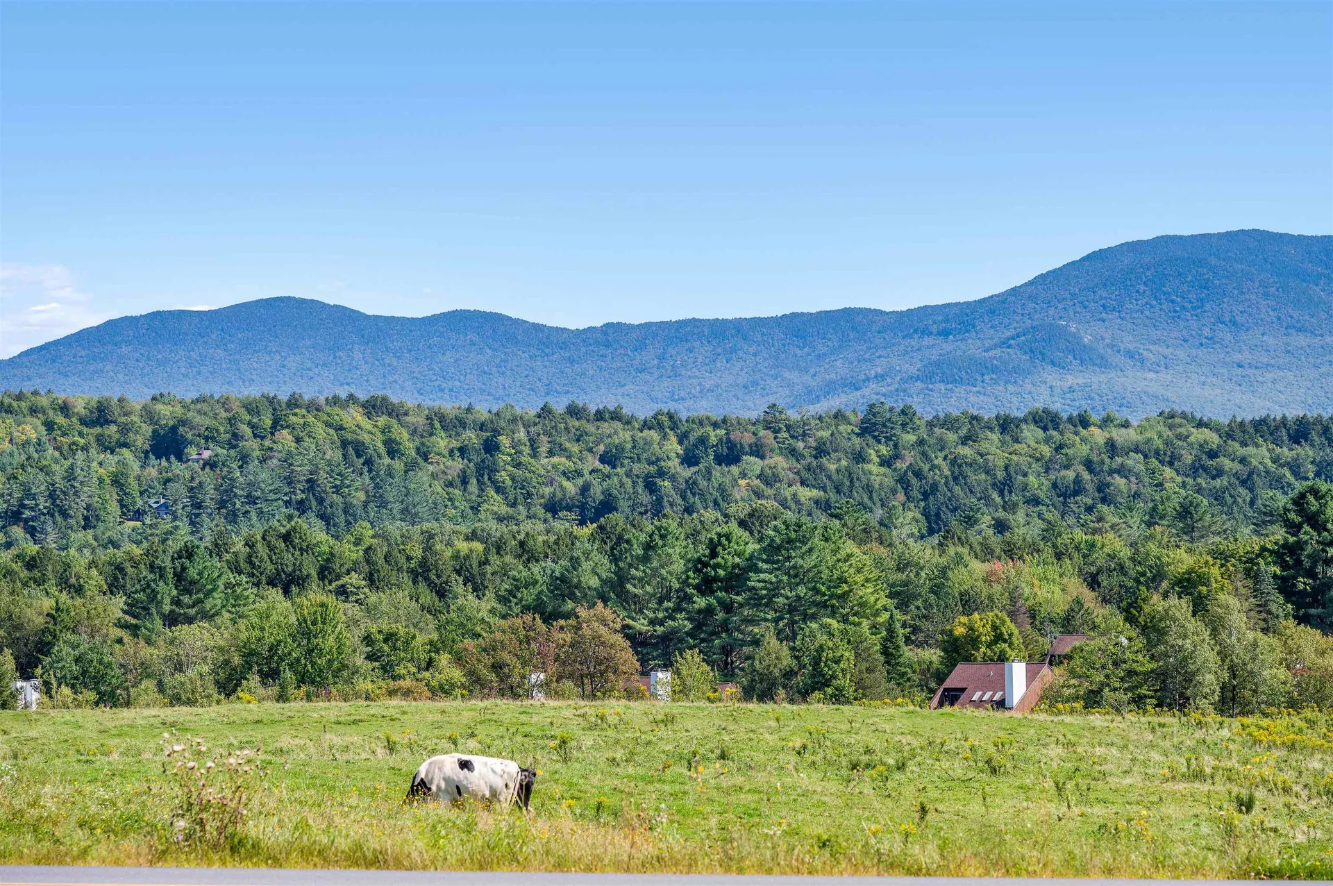 14 Barrows Road Stowe VT 05672