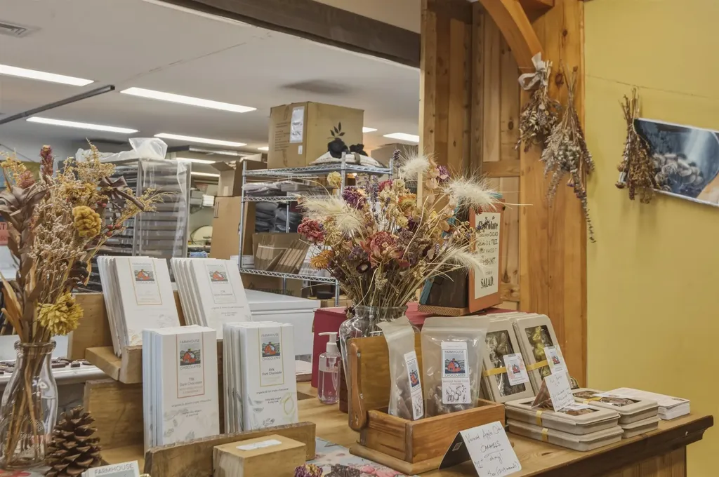 25 Mountain View Street Bristol VT 05443