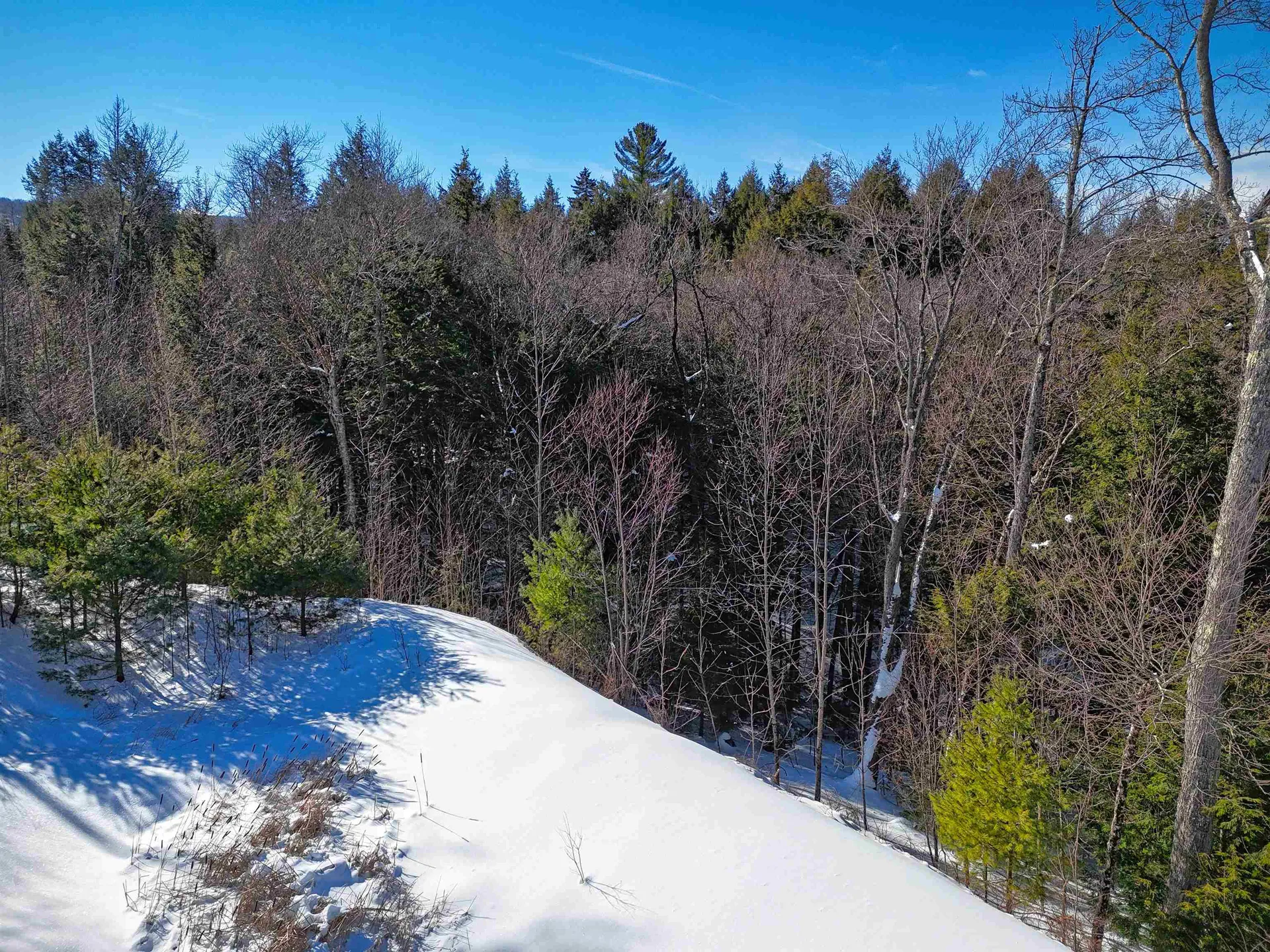 00 Garden Loop Road Winhall VT 05340