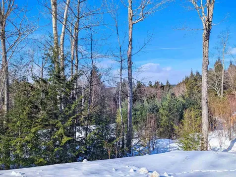 00 Garden Loop Road Winhall VT 05340