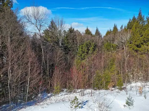 00 Garden Loop Road Winhall VT 05340