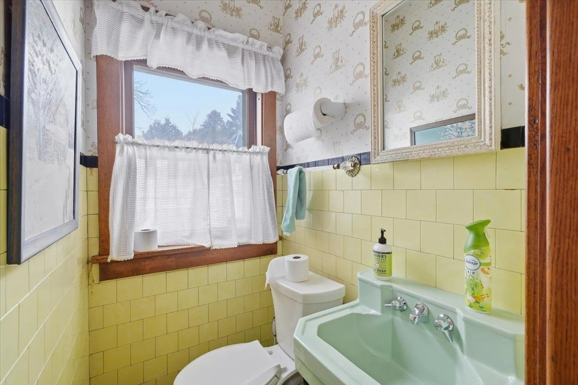 308 College Street Burlington VT 05401