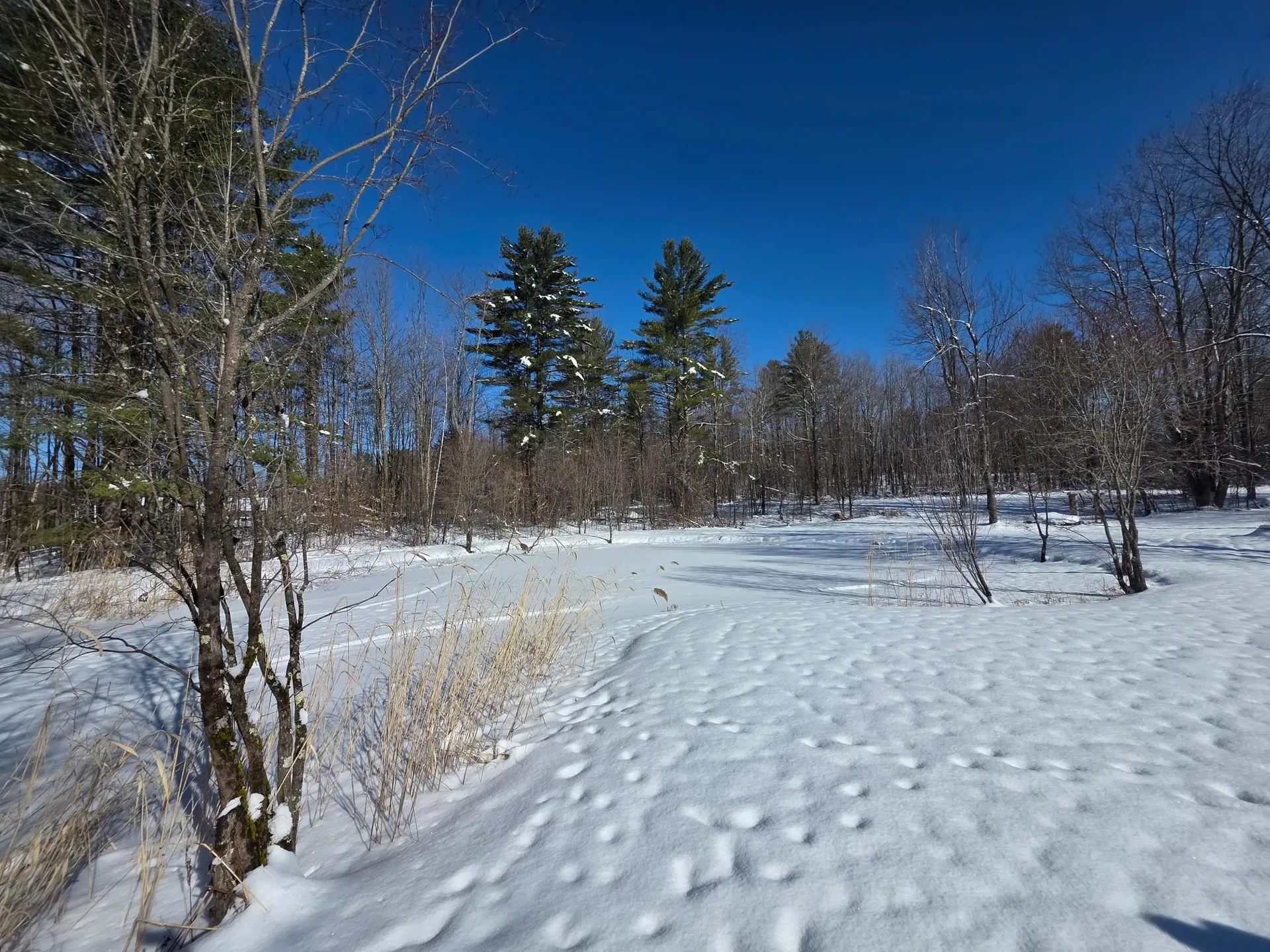 220 Sam Webb Road Fairfax VT 05454