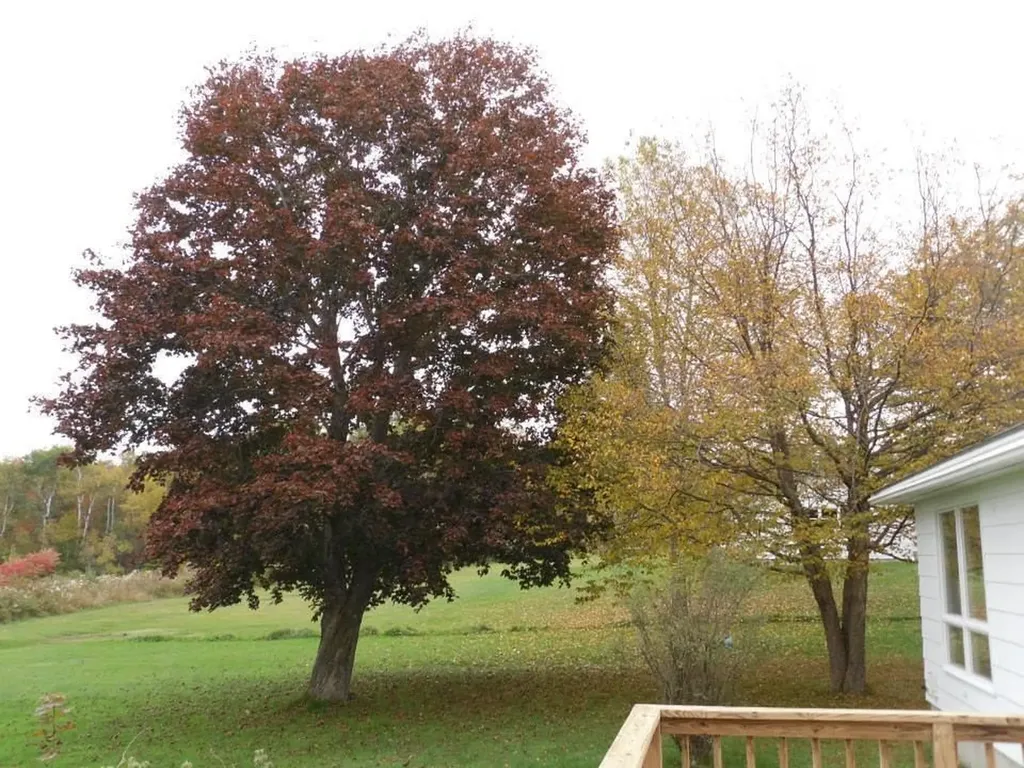 11 Bryant Lane Enfield NH 03748