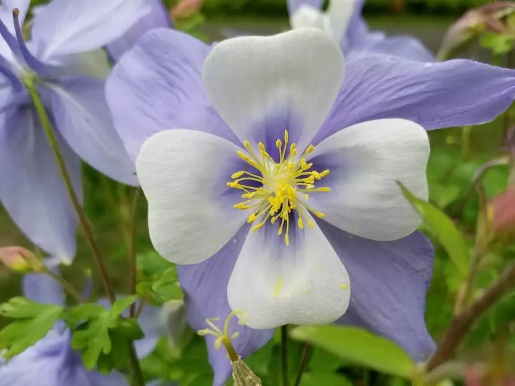 11 Bryant Lane Enfield NH 03748