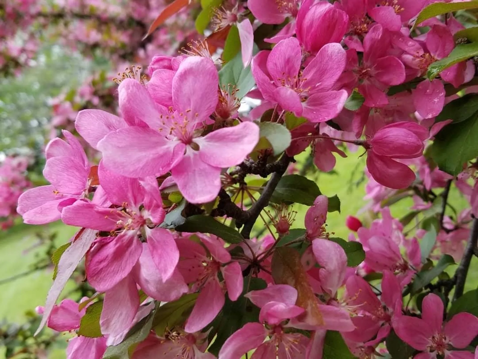 11 Bryant Lane Enfield NH 03748