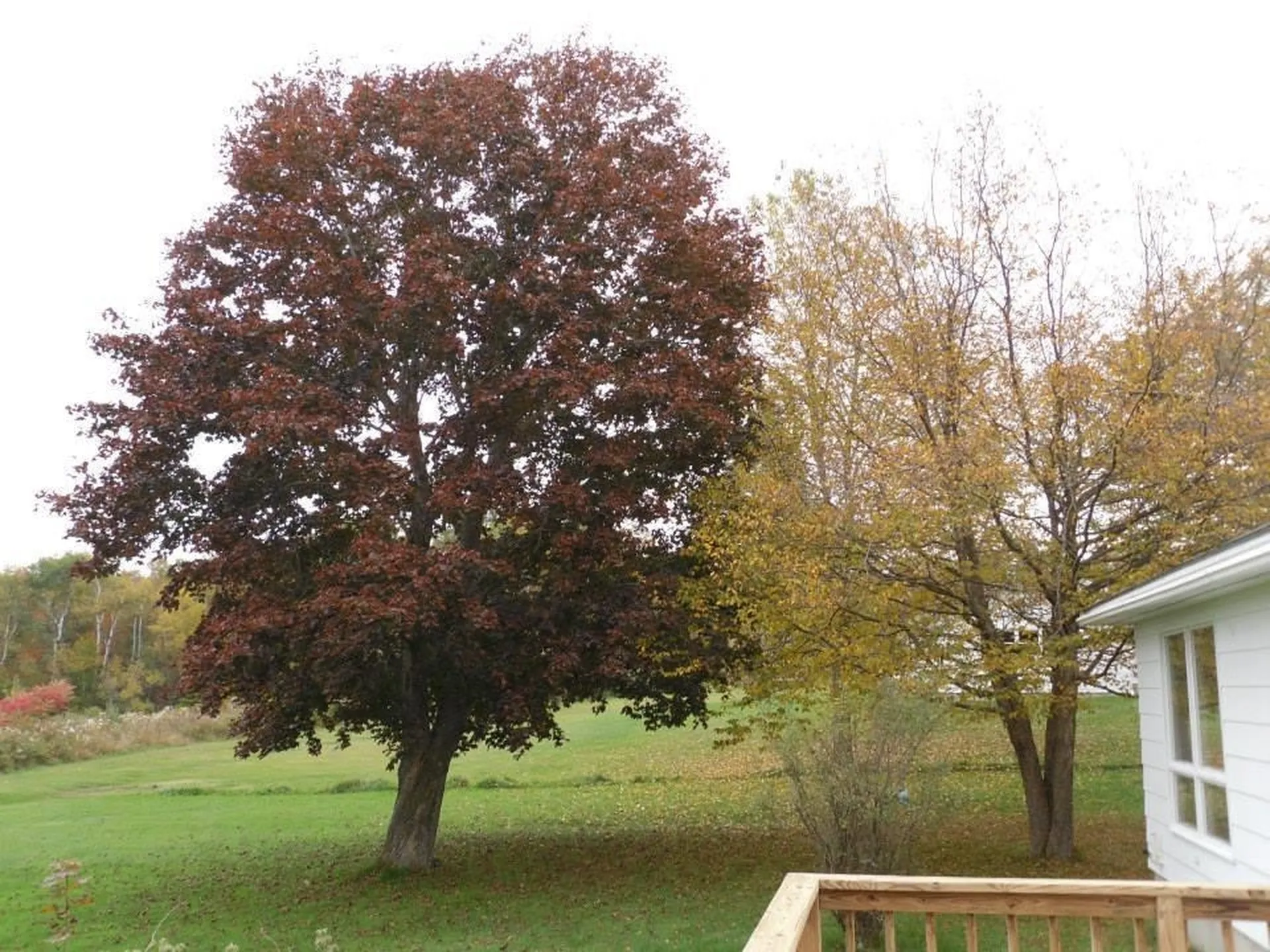 11 Bryant Lane Enfield NH 03748