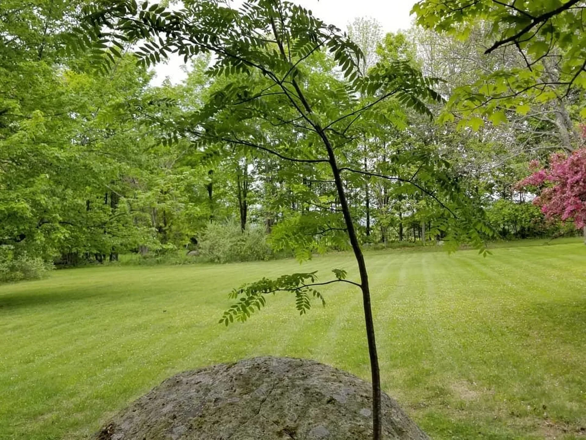 11 Bryant Lane Enfield NH 03748