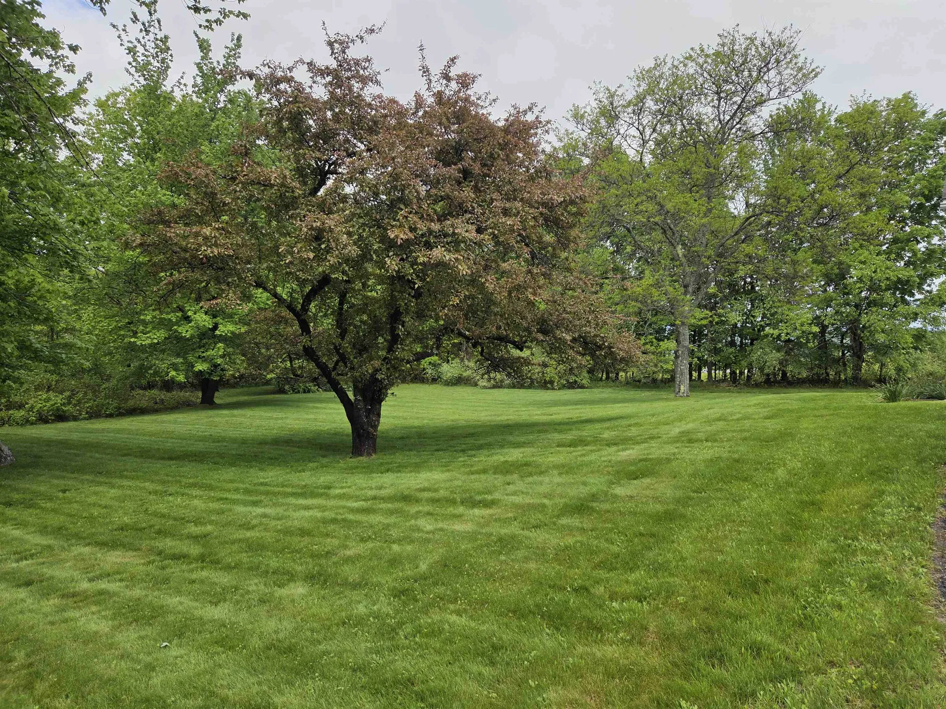 11 Bryant Lane Enfield NH 03748