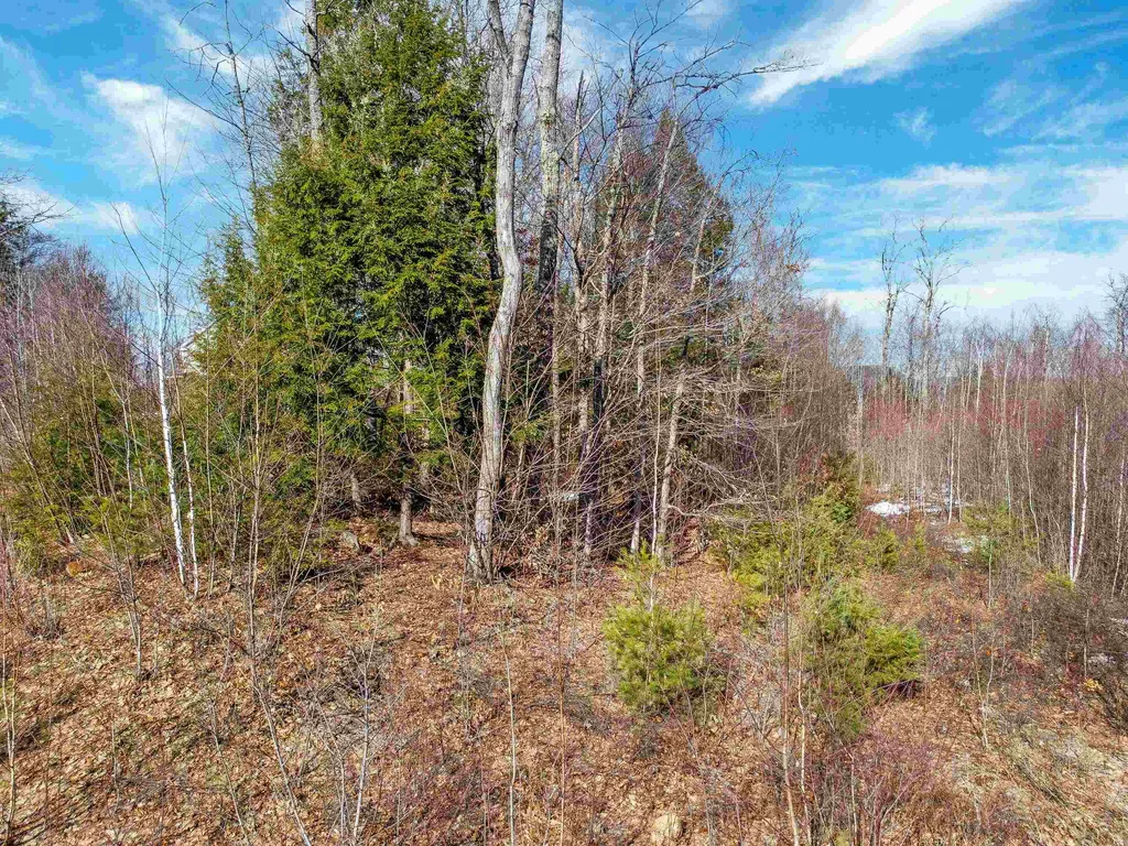 25 Ski Lift Lane Plymouth NH 03264