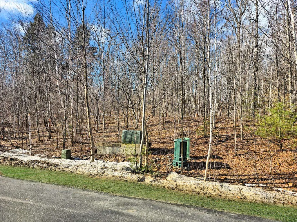 25 Ski Lift Lane Plymouth NH 03264