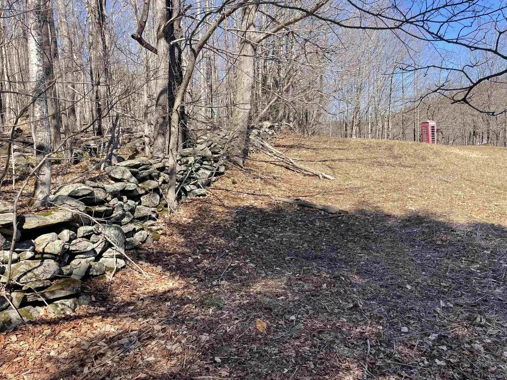 27 Ray Hill Road Wilmington VT 05363