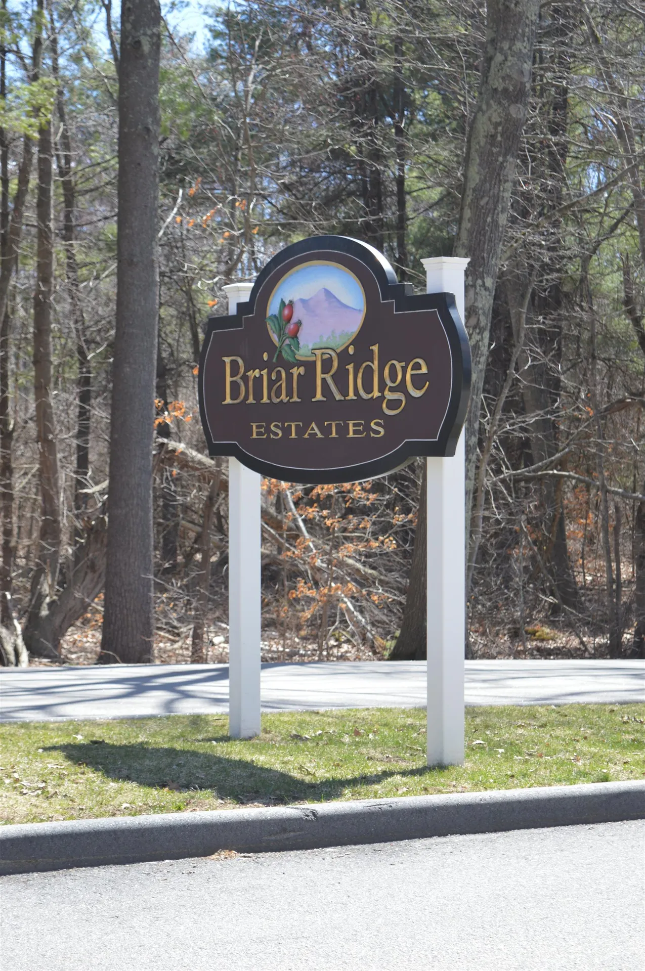 15 South Cranberry Lane Rochester NH 03867