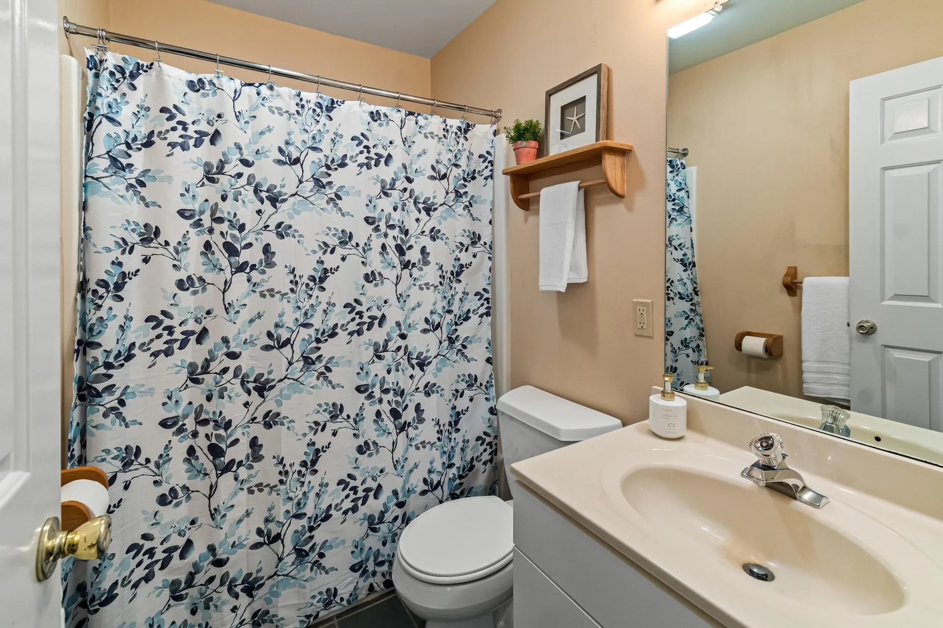 911 Dorset Street South Burlington VT 05403