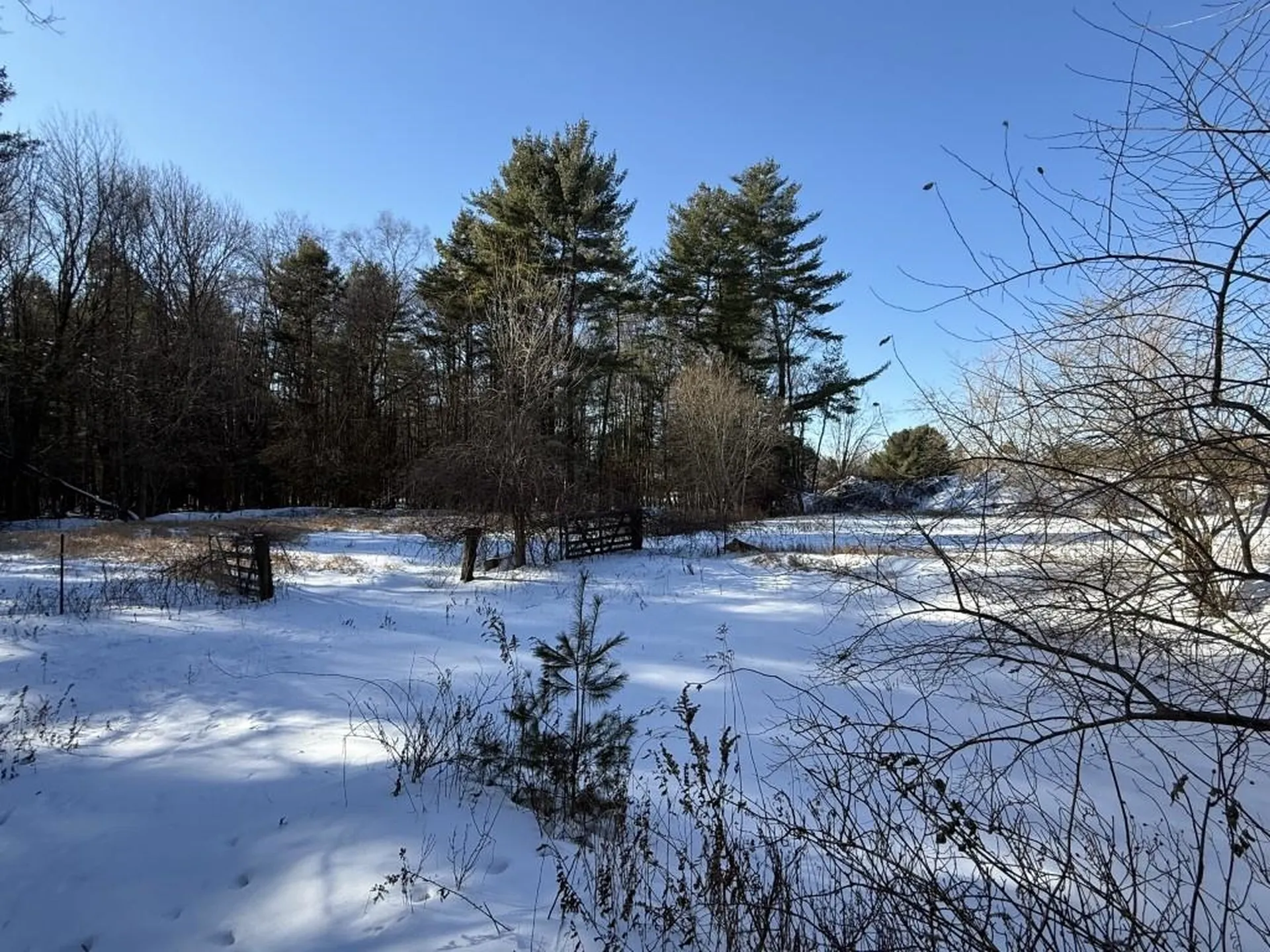 118 Winnicutt Road Stratham NH 03885