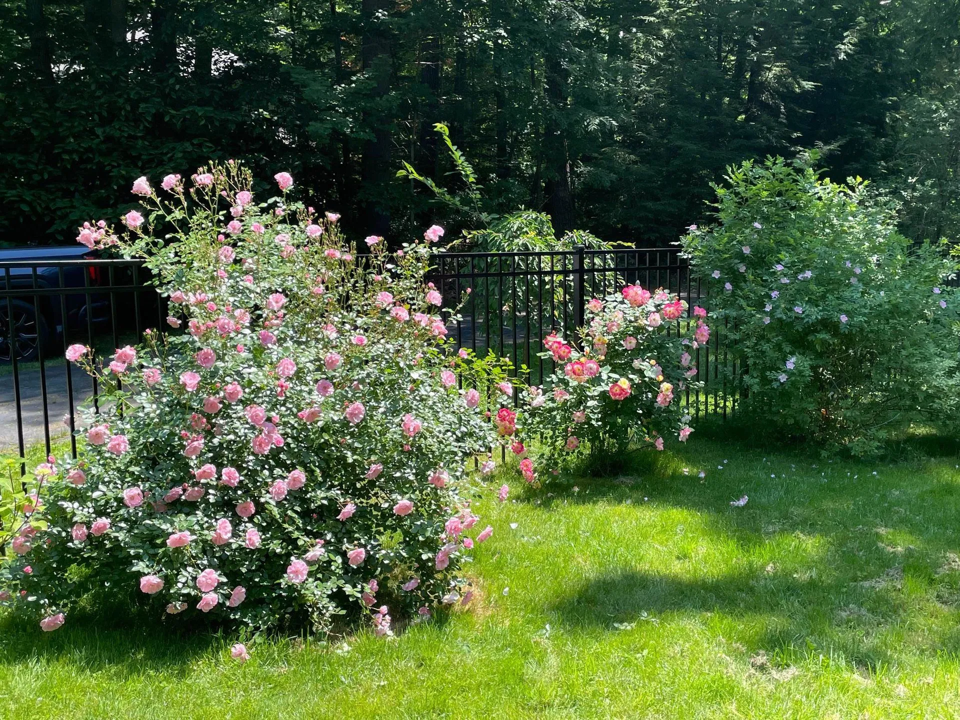 22 Colonial Way Exeter NH 03833