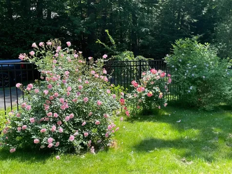 22 Colonial Way Exeter NH 03833