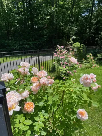 22 Colonial Way Exeter NH 03833
